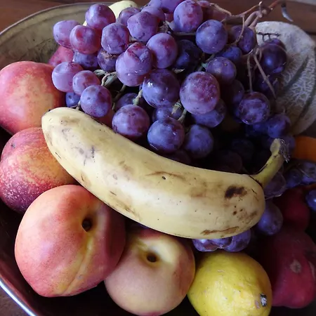 In Saint-jean With Terrace Frontenay-sur-Dive