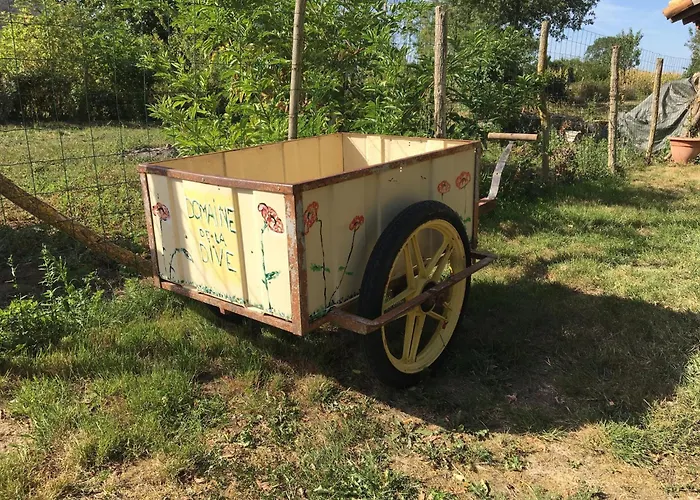 In Saint-jean With Terrace * Frontenay-sur-Dive